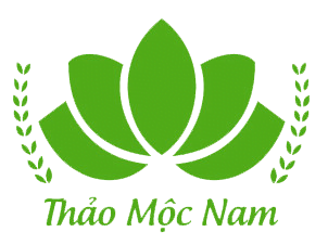 Logo TMN